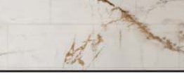 Silhouette Awaken Gold wall finish sample